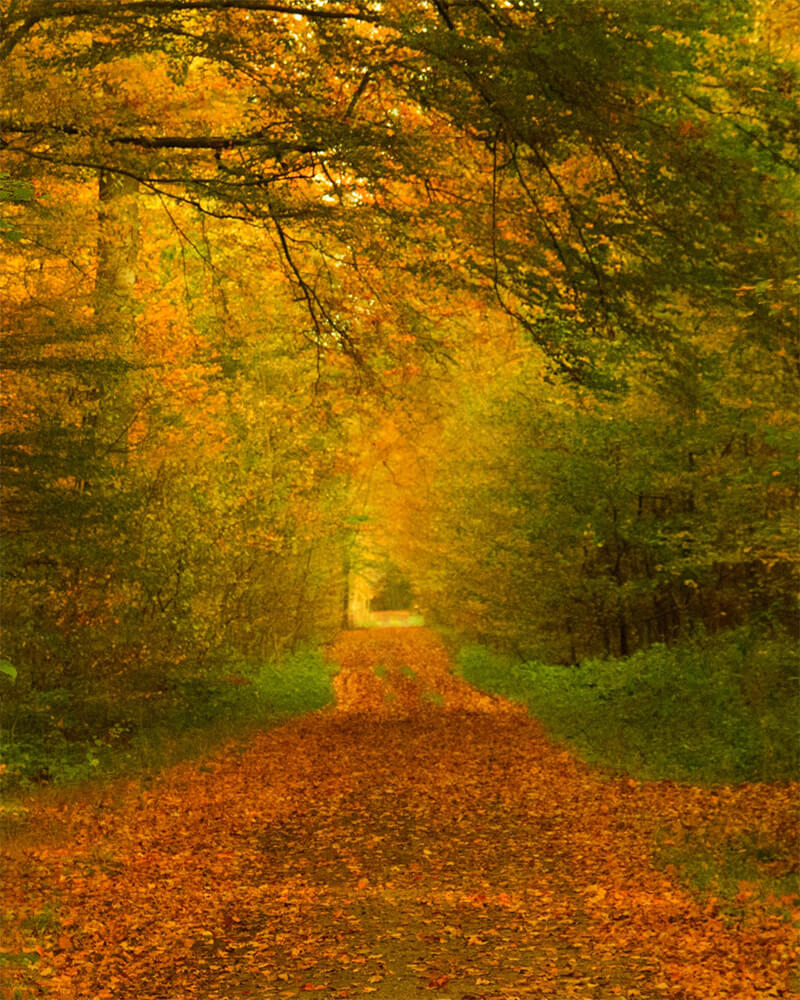 News-Auf-die-Plätze-Fertig-Losgetanzt!