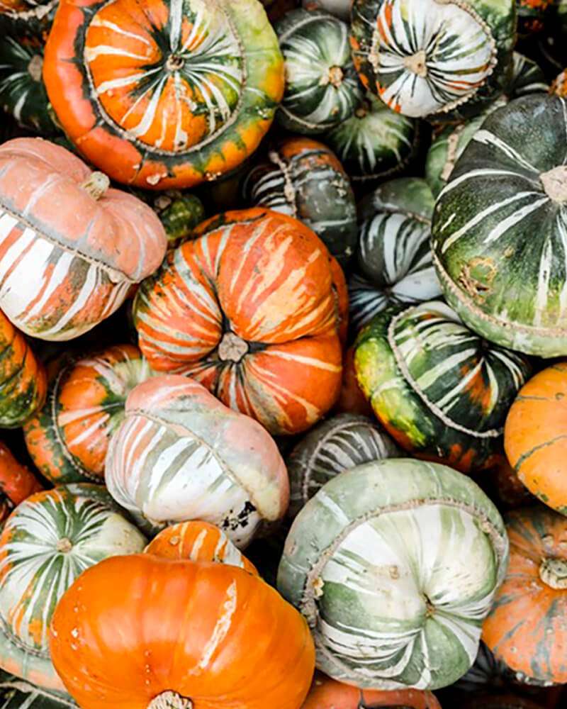 News-Oktoberfest-2022-im-Tanzherz-Berlin