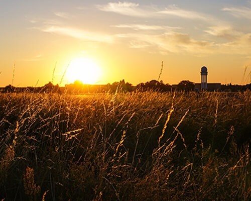 Kopf in den Sand stecken, ist nicht!