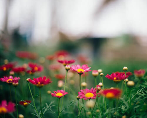 April, April, der weis nicht was er will!