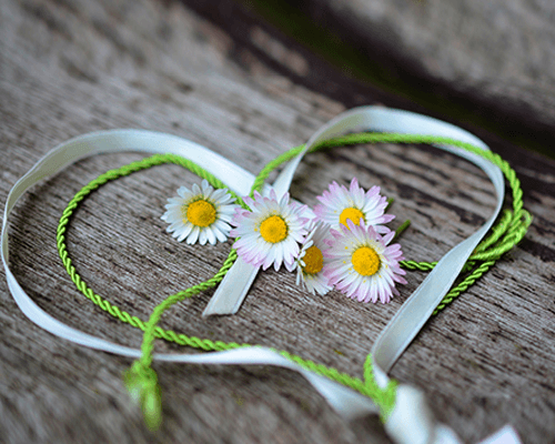 News aus dem Tanzherz!