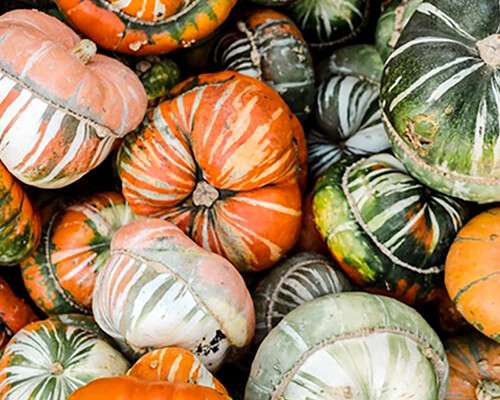 „Der Frühling belebt, der Herbst inspiriert.“